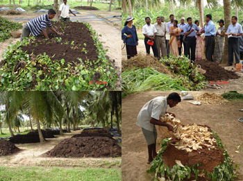Promotion Of Production And Use Of Organic Fertilizer