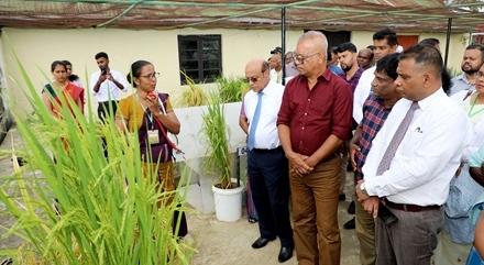 Minister of Agriculture, Livestock, Land and Irrigation K.D. Lalkantha participates on the final day of the 'Vidu Nenen Saru Kethak' paddy field day held at the Rice Research and Development Institute, Bathalagoda.