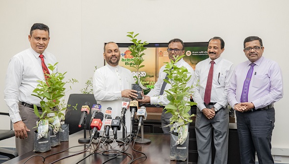 Provincial Agriculture Offices extend their support for “Nekathata Pelayak Programme”
